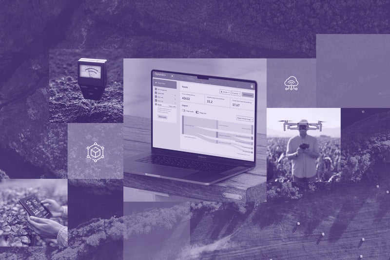 How Digital Platforms Foster Collaboration for Sustainability