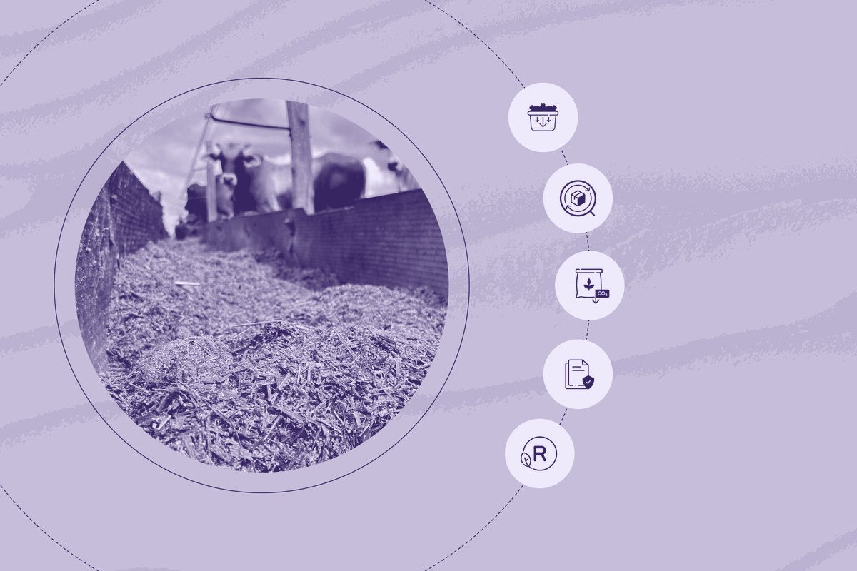 What Feed Mills Have to do with the Future of Food