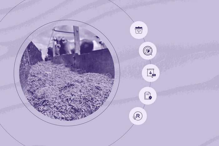 What Feed Mills Have to do with the Future of Food