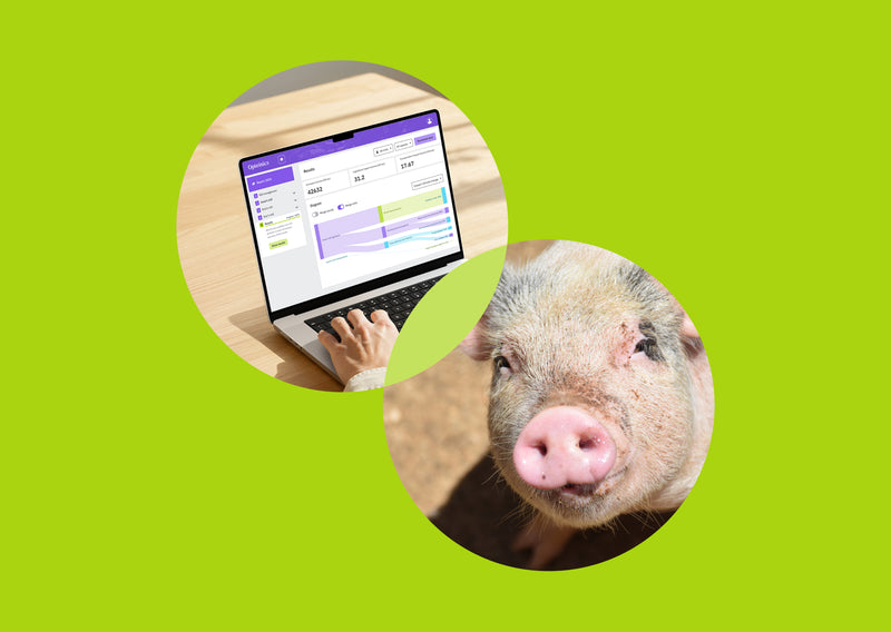 A Holistic Approach to Sustainable Pork Production