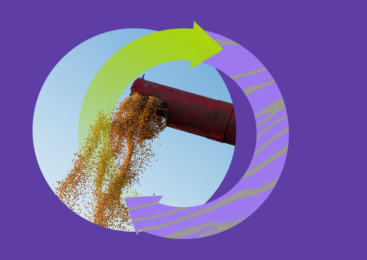 Optimizing Feed for Sustainable Animal Farming