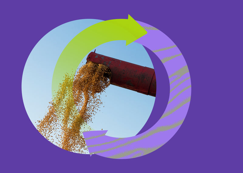 Optimizing Feed for Sustainable Animal Farming