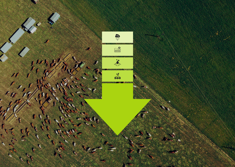 Understanding and Reducing the Environmental Footprint of Animal Farming