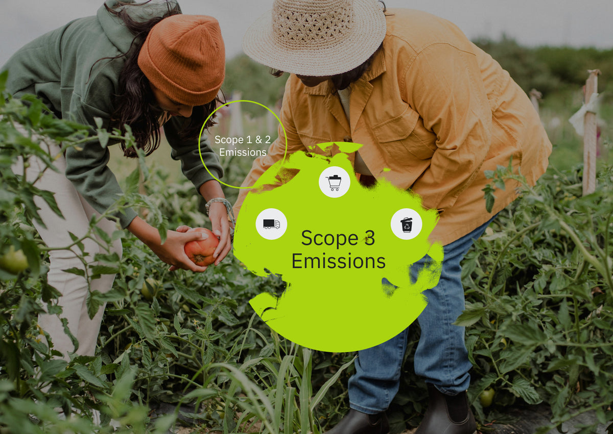 Scope 3 Emissions: Challenges and Opportunities for Food Producers